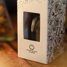 Load image into Gallery viewer, gift plague doctor edinburgh