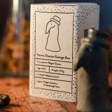 Load image into Gallery viewer, plague doctor collection