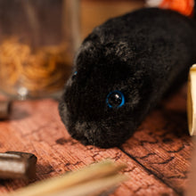 Load image into Gallery viewer, The Black Death Microbe Plush