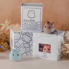 Load image into Gallery viewer, gift inspiration