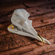 Load image into Gallery viewer, jewellery holder in shape of skull with golden ring and silver earrings