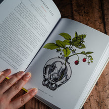 Load image into Gallery viewer, An open page from The Physick Garden with coloured line drawing of raspberry leaves and a human pelvis