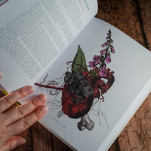 Load image into Gallery viewer, An open page from The Physick Garden with coloured line drawing of foxglove intertwined with a human heart