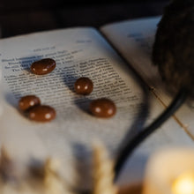 Load image into Gallery viewer, rat poo on a book at the real mary king's close