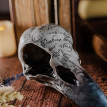 Load image into Gallery viewer, Raven Skull
