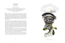 Load image into Gallery viewer, Stock image. Open page from The Physick Garden book about the properties of using daisies to treat headaches