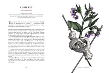 Load image into Gallery viewer, Stock image. Open page from The Physick Garden book about the properties of using comfrey to treat inflammation
