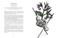 Load image into Gallery viewer, Stock image. Open page from The Physick Garden book about the properties of using comfrey to treat inflammation