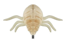 Load image into Gallery viewer, Top view of flea plush from The Real Mary King's Close