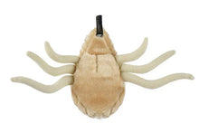 Load image into Gallery viewer, Bottom view of flea plush from The Real Mary King&#39;s Close 
