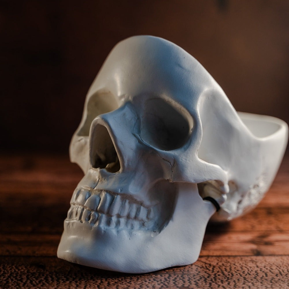 White skull tidy displayed on a wooden table