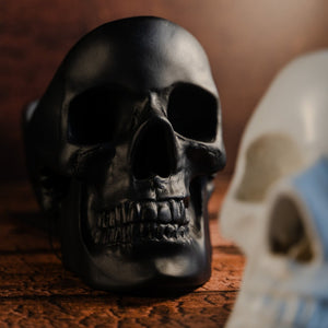 Black skull tidy facing forwards and displayed on a wooden table