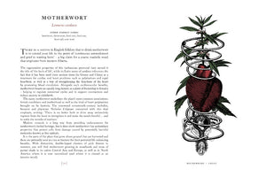 Stock image. Open page from The Physick Garden book about the properties of using motherwort to treat chest ailments