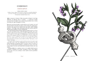 Stock image. Open page from The Physick Garden book about the properties of using comfrey to treat inflammation