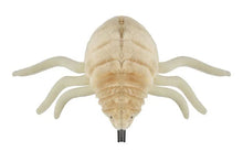 Load image into Gallery viewer, Top view of flea plush from The Real Mary King&#39;s Close
