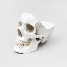Load image into Gallery viewer, bone white skull tidy against a white backdrop 
